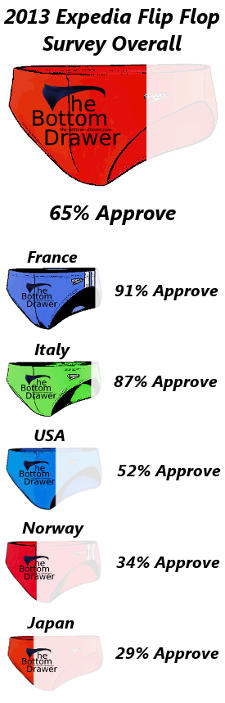 Expedia 2013 Survey Chart