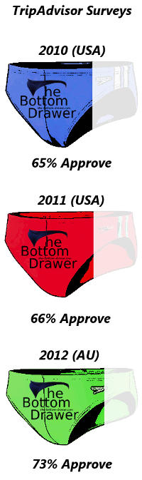 TripAdvisor Surveys Chart