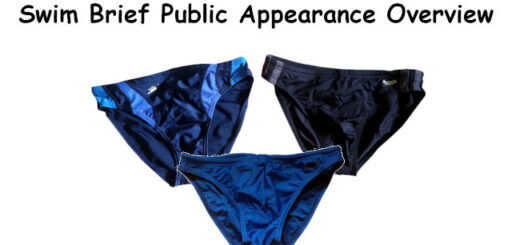 Swim brief public overview