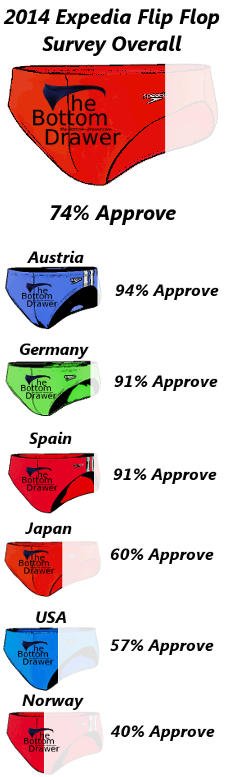 Expedia 2014 Survey - Swim Brief