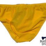 Dietz Mango Mesh Bikini Brief Back