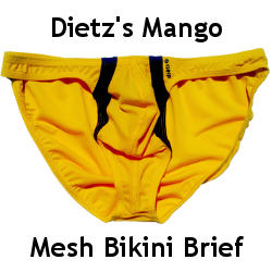 Dietz Mango Mesh Bikini Brief Review