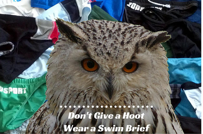 Don't Give a Hoot; Wear a Swim Brief