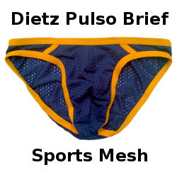 Dietz Pulso Bikini Brief - Sports Mesh Review