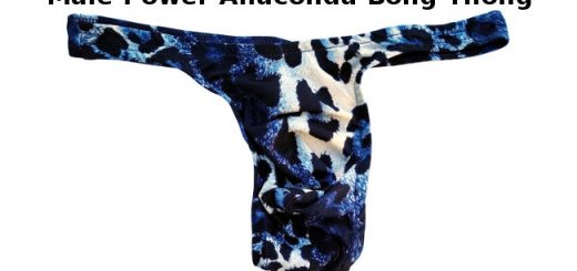 Male Power Anaconda Thong Review