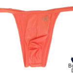 Daniel Alexander Brazilian String Bikini DA608 front