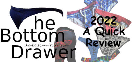 2022 The Bottom Drawer Review - Underwear, Swimwear, Leggings