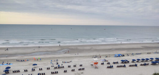 It is swim brief time!