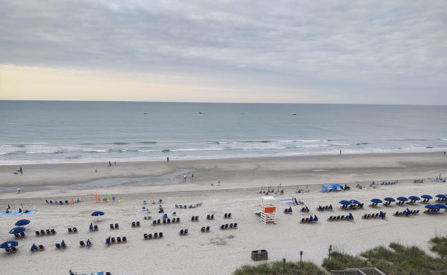 It is swim brief time!