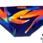2EROS V10 swim brief in Paradise back