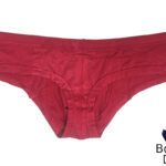 AWRY Cheeky Thong back