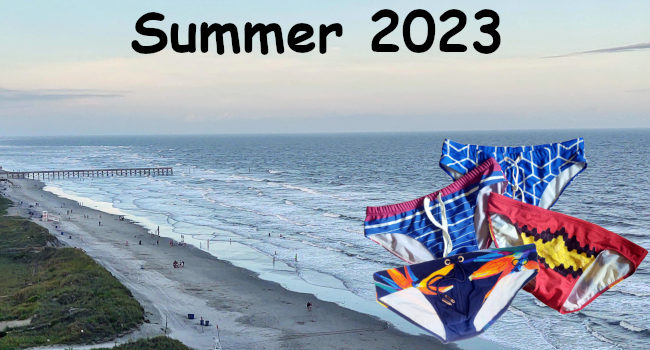 Swim Briefs of Summer 2023