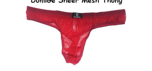 Review DomiGe Sheet Mesh Thong