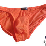 DomiGe Low-Rise Brief front